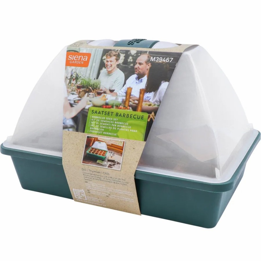 SIENA GARDEN Saatset Bbq Inkl. Saatgut - Dill, Thymian, Chilli New