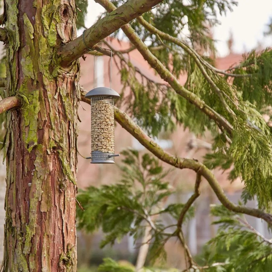 SIENA GARDEN Futtersaule Eisen Fur Nusse Clearance