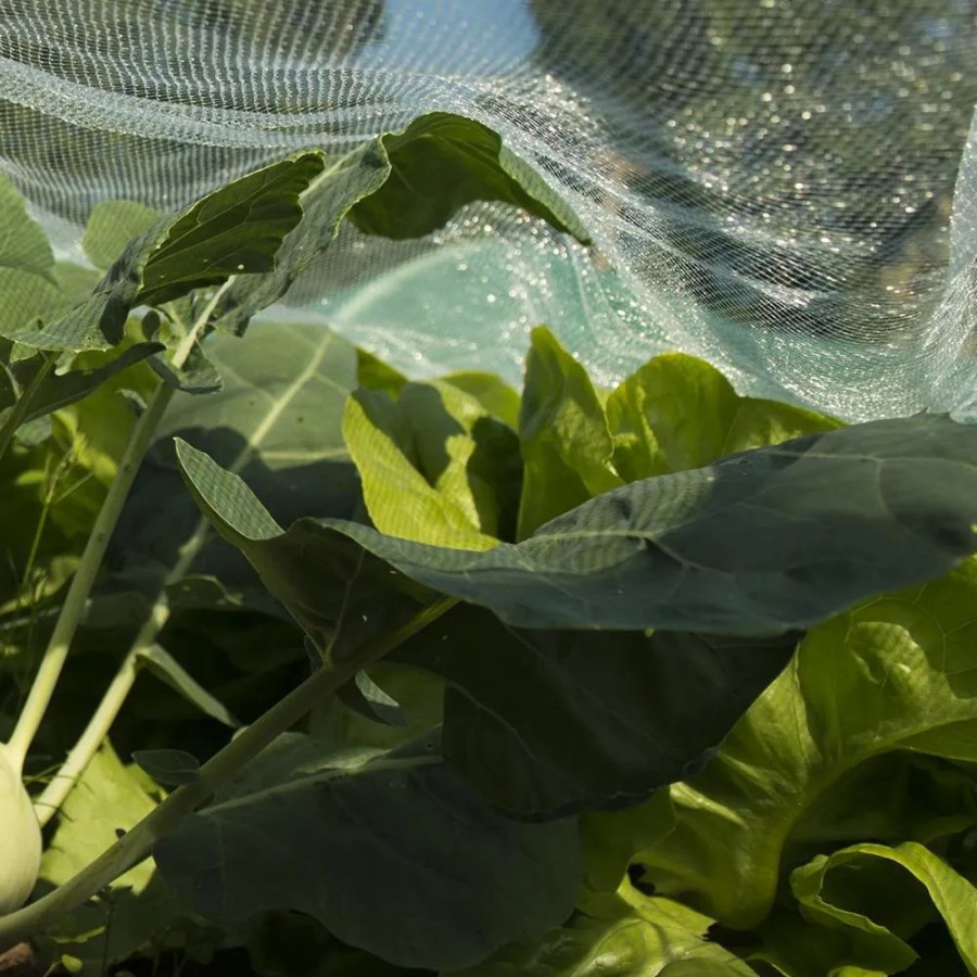 SIENA GARDEN Insektennetz 5 X 2 M Im Tragebeutel Mit Etikett Hot