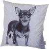 SIENA HOME Kuschelkissen Ora Chihuahua 45X45Cm Online