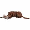 SIENA HOME Nia Hunde Kuschelkissen 30 X 18 X 18 Cm Hellbraun Clearance