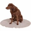 SIENA HOME Lifa Hundedecke Beige M Hot